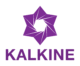 Innovative Pharmaceutical Company of India